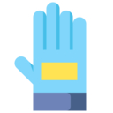 sports and competition,gloves,accessory,sport,miscellaneous,soccer,football,hand gloves,goalkeeper